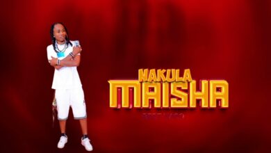 Audio: Best Naso – Nakula Maisha (Mp3 Download) - KibaBoy