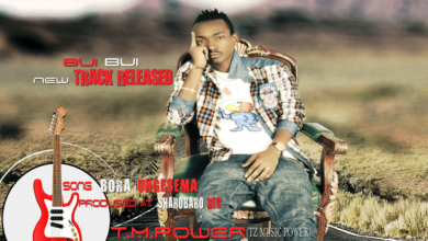 Audio: Buibui - Bora Ungesema (Mp3 Download) - KibaBoy