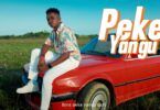 Lyrics VIDEO: Centano - Peke Yangu (Mp4 Download)