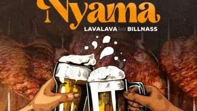 Audio: Lava Lava Ft. Billnass - Beer Nyama (Mp3 Download) - KibaBoy