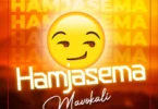 Audio: Mavokali - Hamjasema (Mp3 Download) - KibaBoy