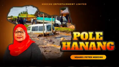 Audio: Peter Msechu - POLE HANANG (Mp3 Download) - Kibaboy