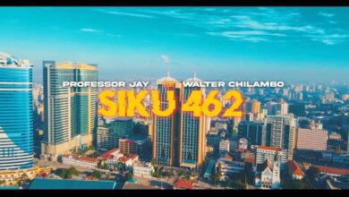 VIDEO: Professor Jay Ft Walter Chilambo - Siku 462 (Mp4 Download) - KibaBoy