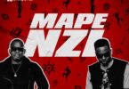 Audio: Seneta Ft G Nako - Mapenzi (Mp3 Download) - KibaBoy