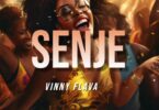 Audio: Vinny Flava - Senje (Mp3 Download) - KibaBoy