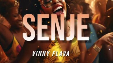 Audio: Vinny Flava - Senje (Mp3 Download) - KibaBoy