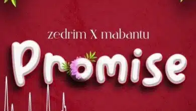 Audio: Zedrim x Mabantu - Promise (Mp3 Download)