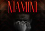 Niamini By Adam Berry