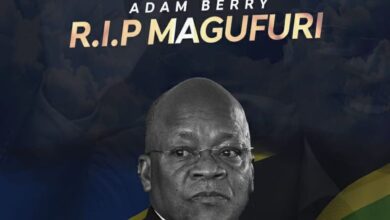 R.I.P MAGUFULI By Adam Berry