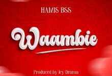 Audio: Hamis Bss - Waambie (Mp3 Download) - KibaBoy