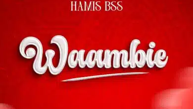 Audio: Hamis Bss - Waambie (Mp3 Download)