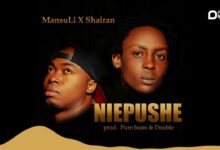 MansuLi Ft. Shairan - Niepushe