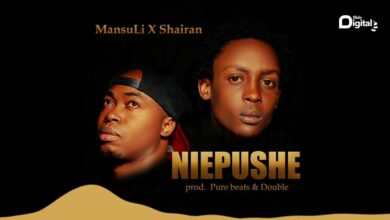 MansuLi Ft. Shairan - Niepushe