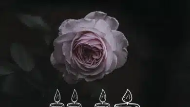 Audio: Neyba - Uje (Mp3 Download)