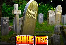 Audio: Shake Nize - HAINA MANA (Mp3 Download)