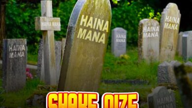 Audio: Shake Nize - HAINA MANA (Mp3 Download)