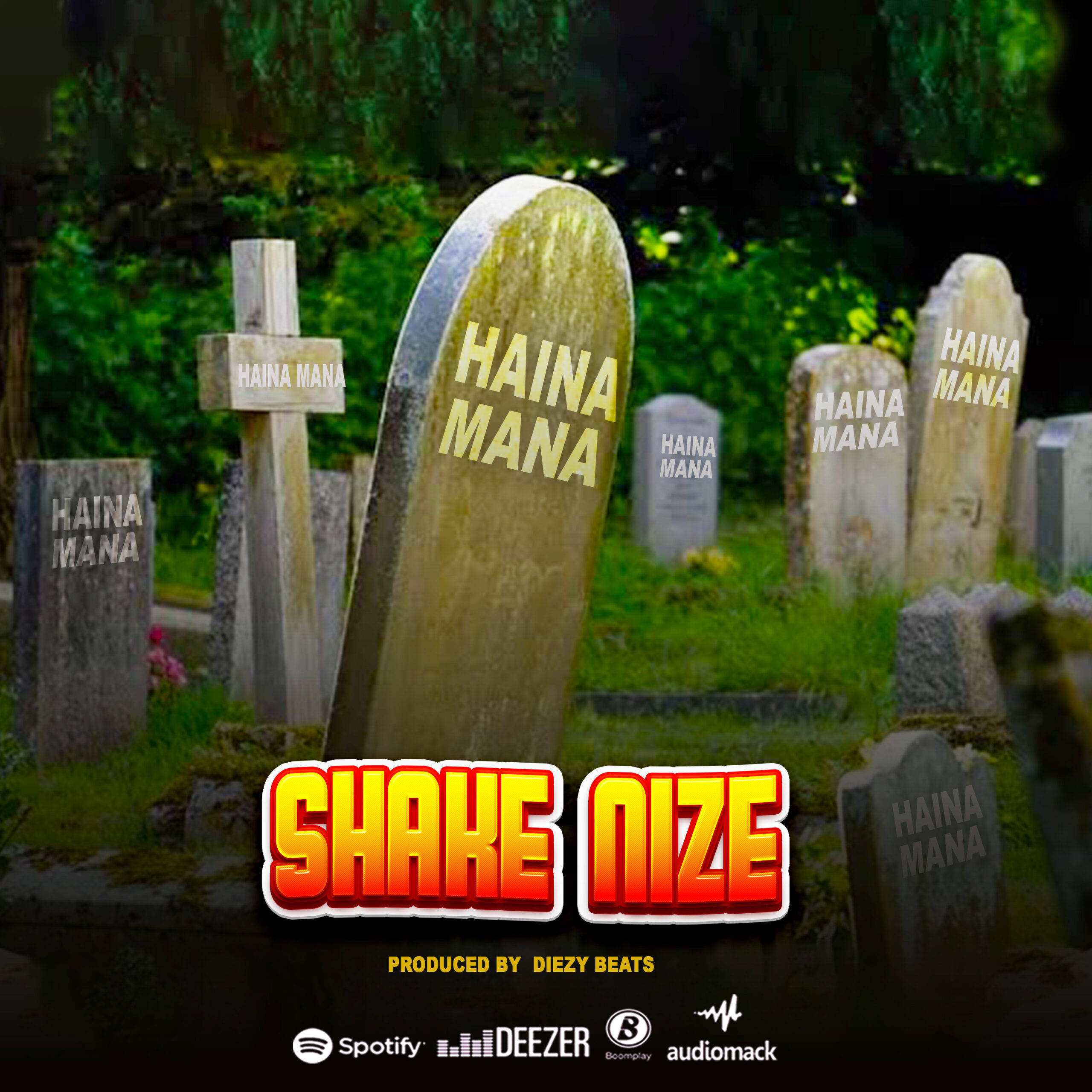 Audio: Shake Nize - HAINA MANA (Mp3 Download) - KibaBoy