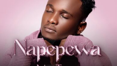 Napepewa By Y Tony