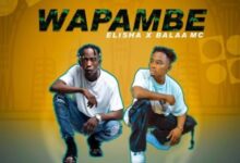 Wapambe By Dogo Elisha Ft Balaa Mc