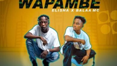 Wapambe By Dogo Elisha Ft Balaa Mc