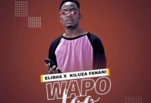 Wapo By Dogo Elisha Ft Kiluza Fanani