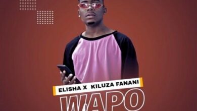 Wapo By Dogo Elisha Ft Kiluza Fanani