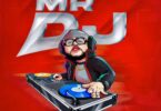 Mr Dj By Dogo Elisha