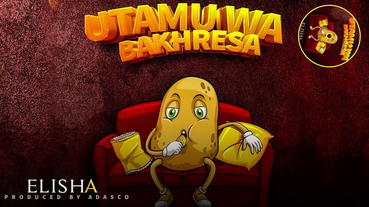 Utamu Wa Bakhresa By Dogo Elisha