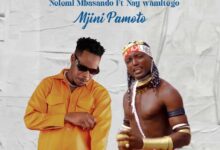 Nelemi Mbasando & Nay Wa Mitego - Mjini Pamoto