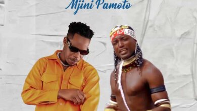 Nelemi Mbasando & Nay Wa Mitego - Mjini Pamoto