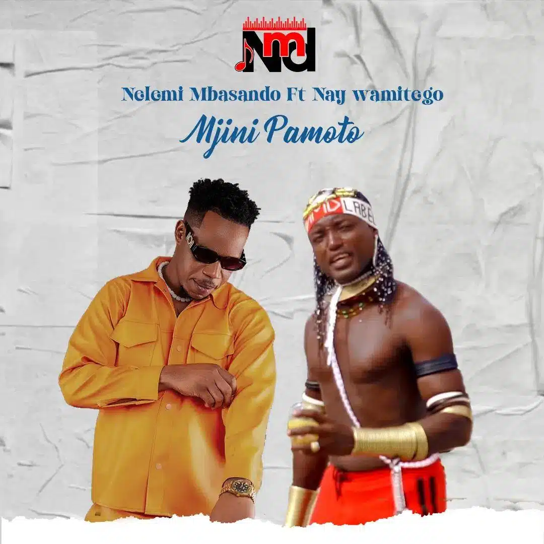 Nelemi Mbasando Ft Nay Wa Mitego - Mjini Pamoto