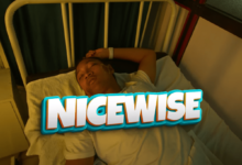 Nice wise - Wengine