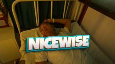 Nice wise - Wengine