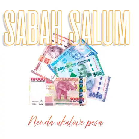 Nenda Ukaliwe Pesa By Sabah Salum