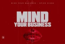 Mind Your Business By Spice Diana