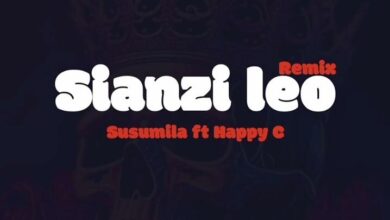 Sianzi Leo Remix By Susumila Feat Happy C