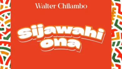 Walter Chilambo - Sijawahi Ona