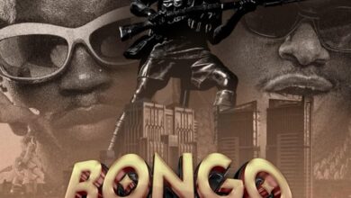 Whozu Ft Marioo – Bongo