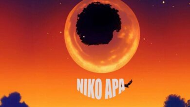 Niko Apa By B2k Mnyama