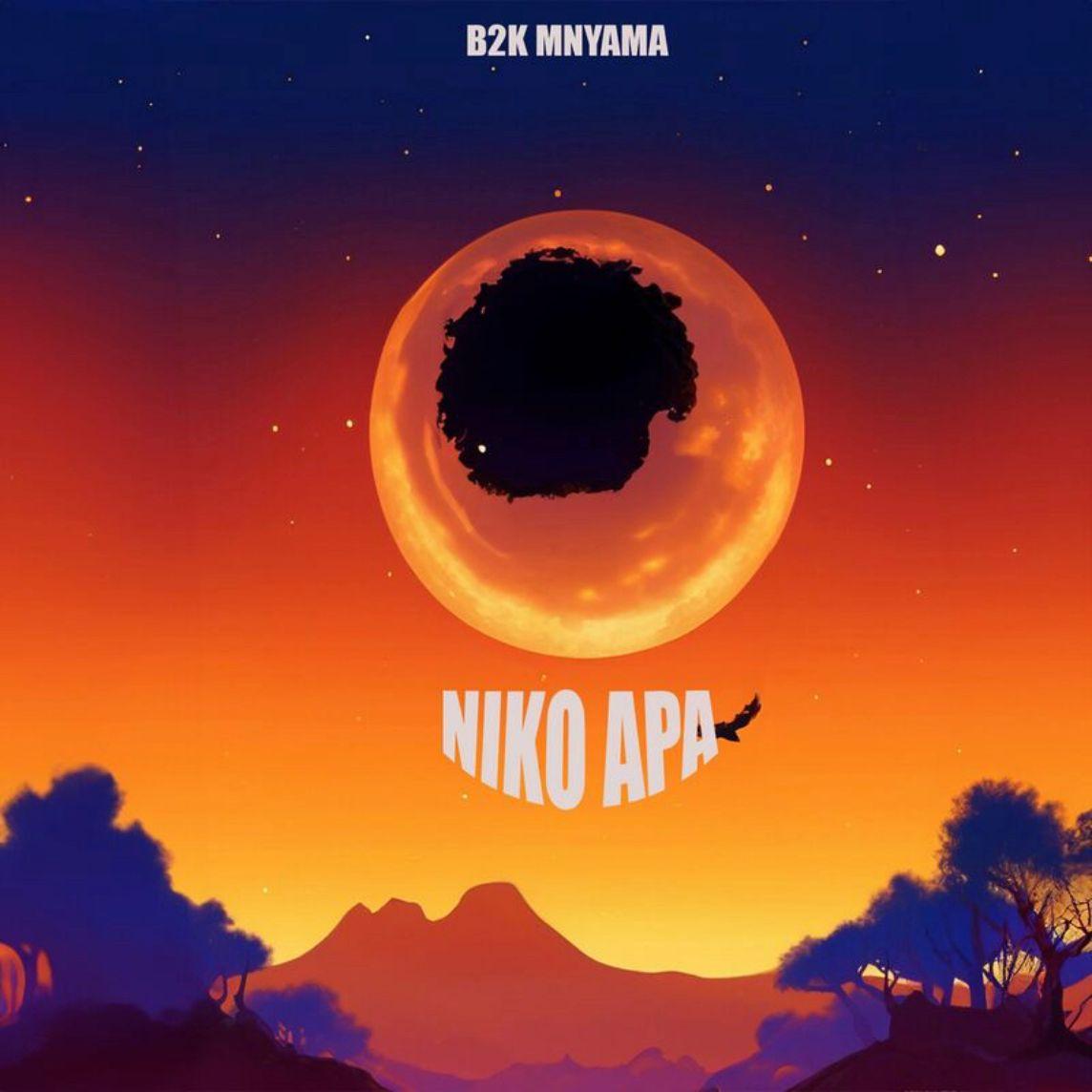 Niko Apa By B2k Mnyama