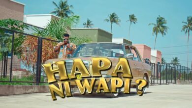 Hapa Ni Wapi By Suma Mnazaleti Ft. Chino Kidd & Gerkey