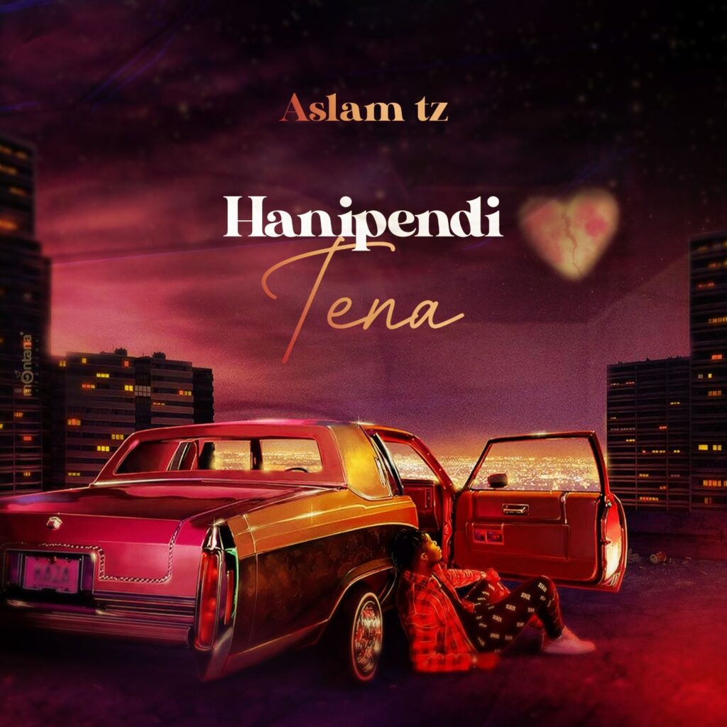 Aslam Tz - Hanipendi Tena