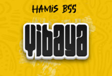 Hamis Bss - Vibaya