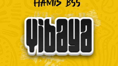 Hamis Bss - Vibaya