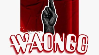 P Mawenge - Waongo