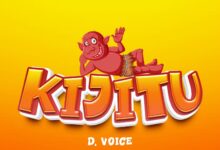 D Voice - Kijitu