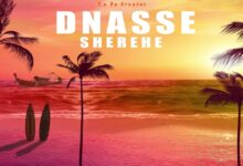 DNasse - Sherehe Leo