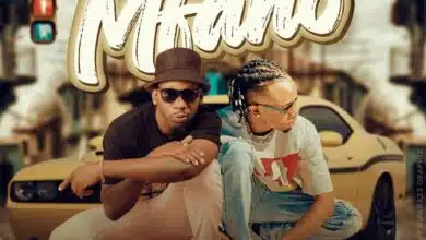 FIdo Mgaigai Ft. Dulla Makabila - Kwa Mfano