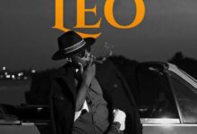 Mingo Classic - Leo