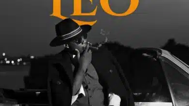 Mingo Classic - Leo